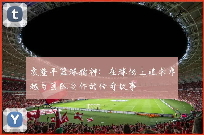 袁隆平篮球精神：在球场上追求卓越与团队合作的传奇故事