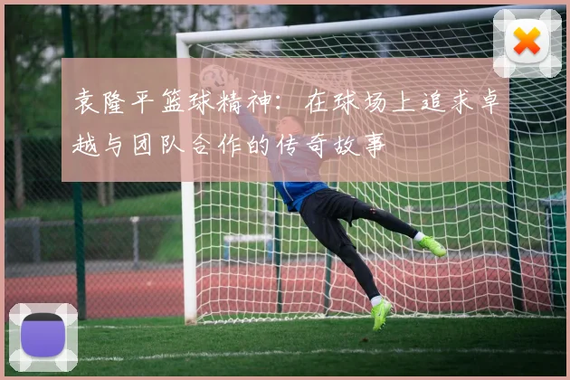 袁隆平篮球精神：在球场上追求卓越与团队合作的传奇故事