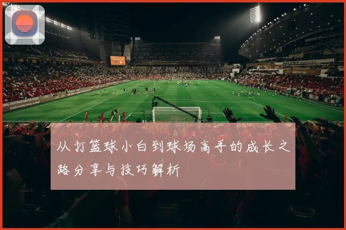 从打篮球小白到球场高手的成长之路分享与技巧解析