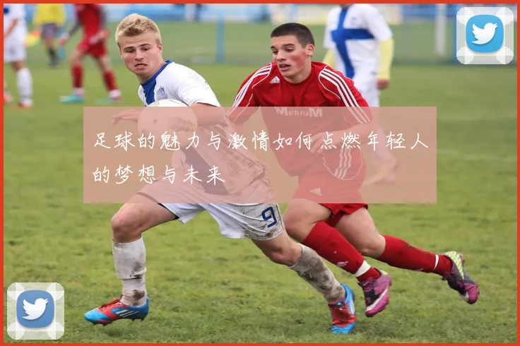 足球的魅力与激情如何点燃年轻人的梦想与未来