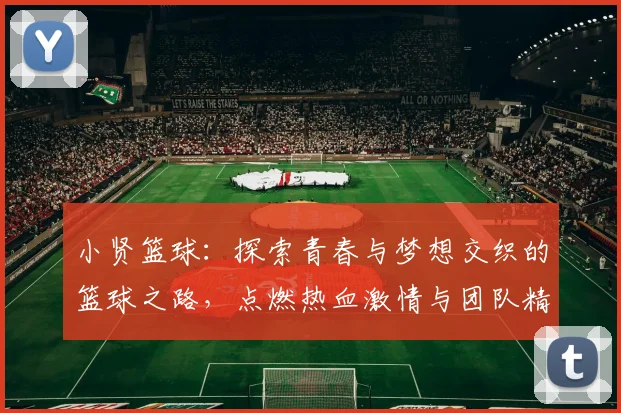小贤篮球：探索青春与梦想交织的篮球之路，点燃热血激情与团队精神