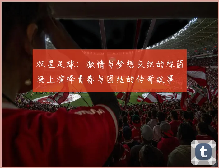 双星足球：激情与梦想交织的绿茵场上演绎青春与团结的传奇故事