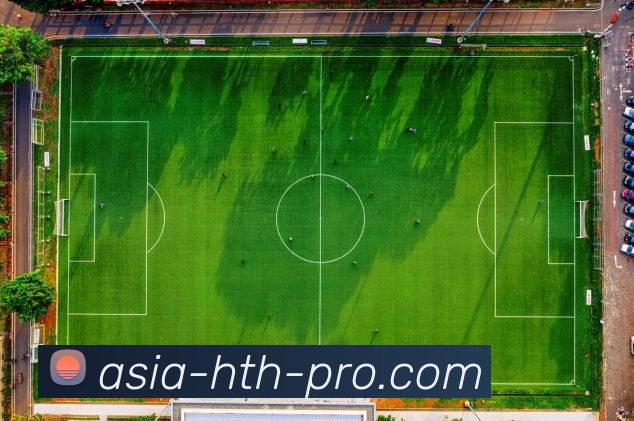 首页入口平台生态图